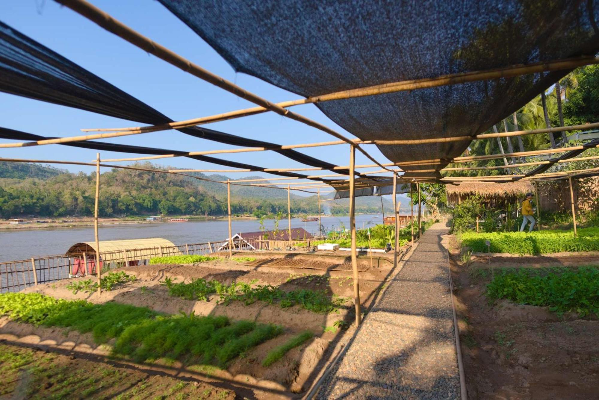 The Belle Rive Boutique Hotel Luang Prabang Exteriör bild